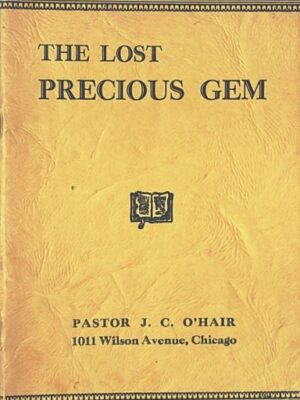 The Lost Precious Gem