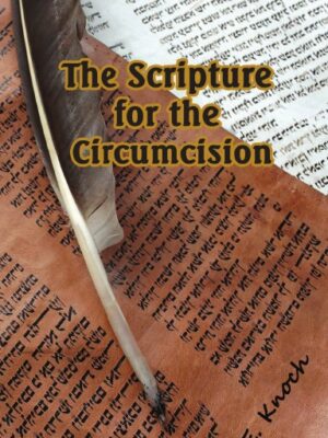 The Scripture for the Circumcision