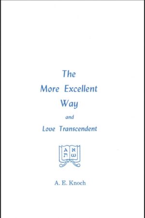 The More Excellent Way and Love Transcendent