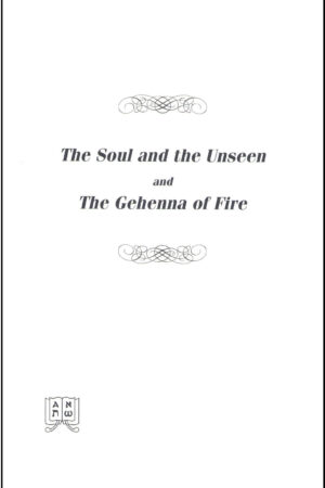 The Soul and the Unseen