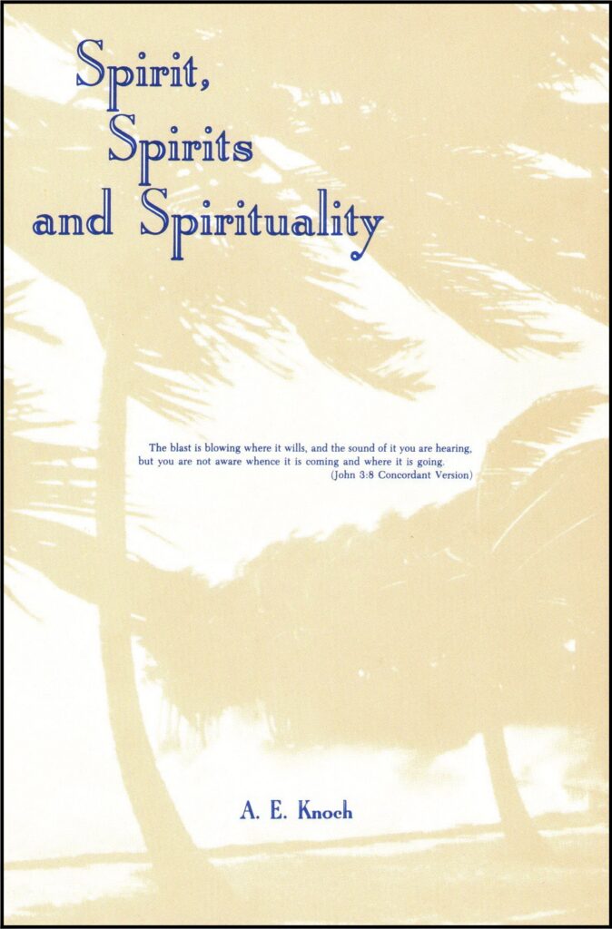 Spirit, Spirits and Spirituality